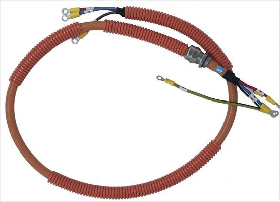 High Pressure Resistant Engine Wiring Harness For Automotive Various Models