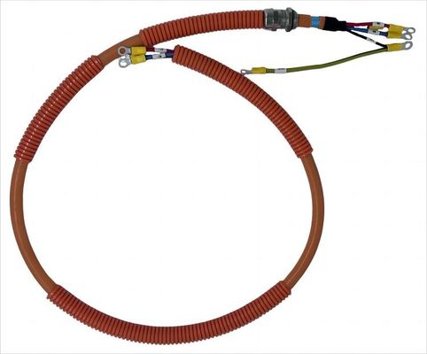 High Pressure Resistant Engine Wiring Harness For Automotive Various Models